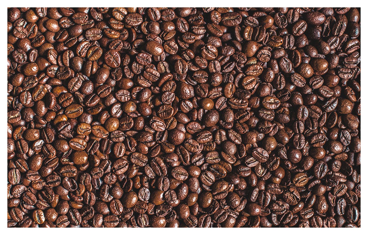 Coperchio per Contenitore Caffè Chicchi SMEG 762173708 per Macinacaffè Coperchio per Contenitore Caffè Chicchi SMEG 762173708 per Macinacaffè