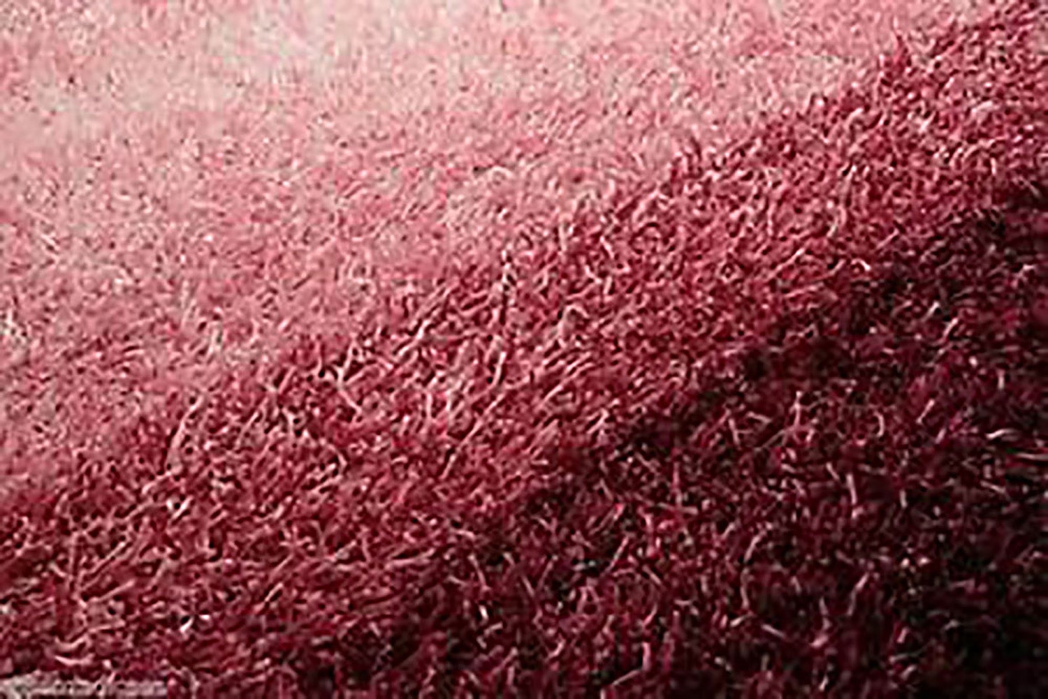 Dywany Teppich tosello Modern 200x140 cm