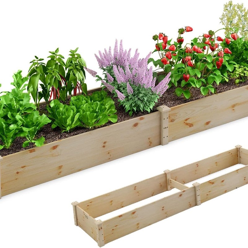 Kwadratowa Skrzynka Ogrodowa z Drewna Jodłowego, Podwyższona Grządka Ogrodowa bez Dna, Donica z 2 Pojemnikami, 240 x 60 x 25 cm, Naturalna