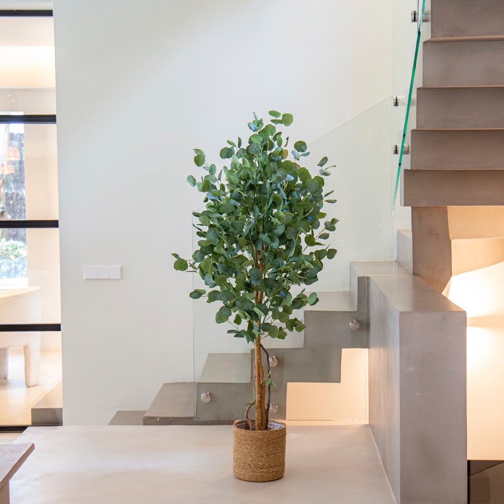 Planta artificial - Árbol artificial - - Eucalipto - 4