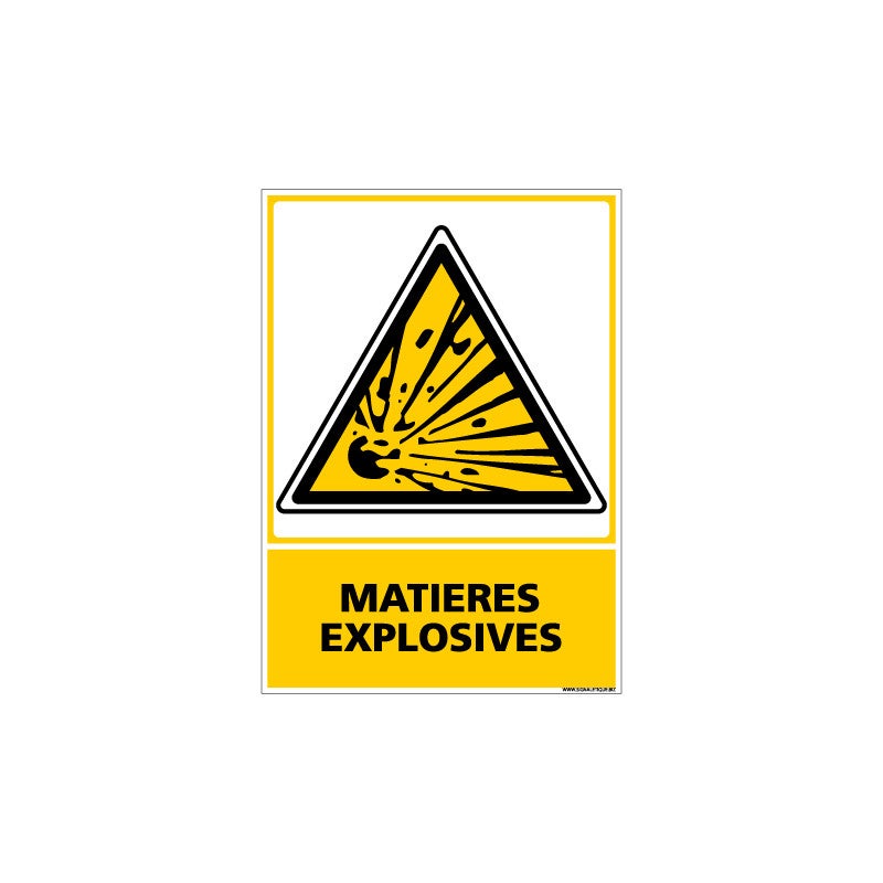 Panneau MATIERES EXPLOSIVES (C0648) 450 X 630 Mm Matière PVC | Leroy Merlin