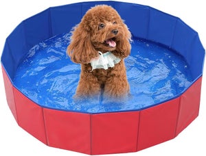 Piscine Pliable Portable PVC 1.6m Pour Adultes - Avec 2 Drains, Facile à Installer Jardin Balcon