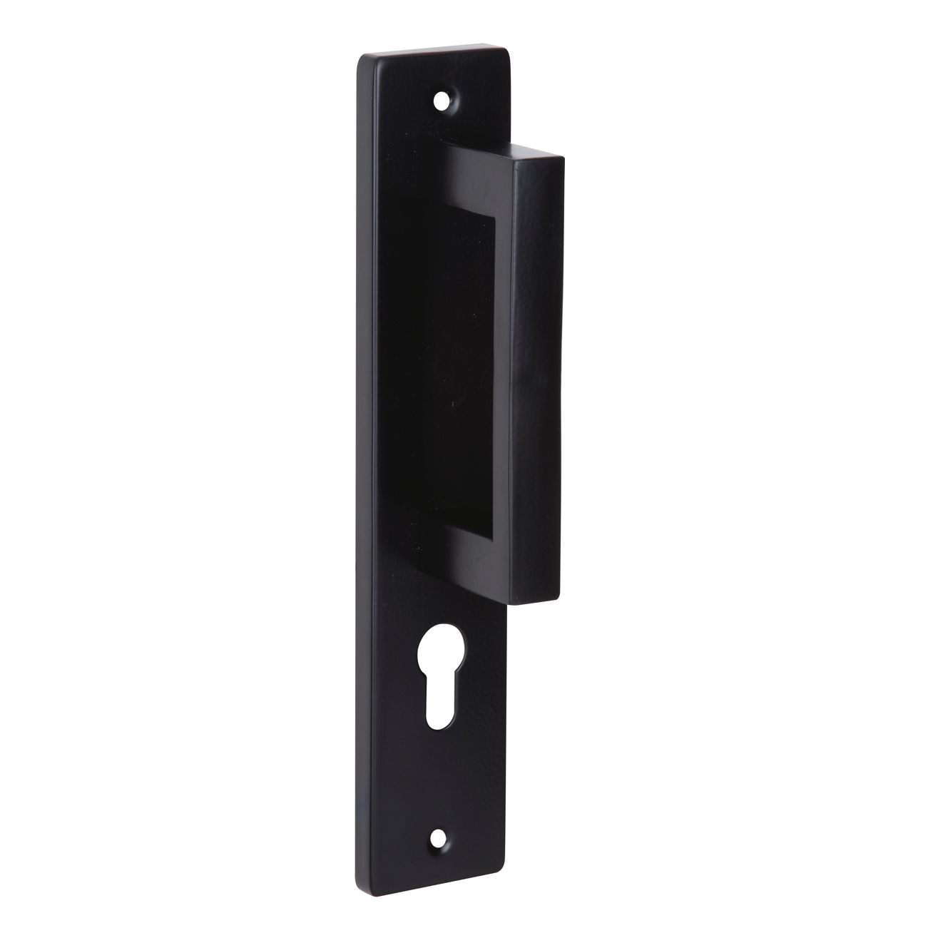 Poignée de tirage 8004 noire en acier inoxydable avec plaque et rosace — free download