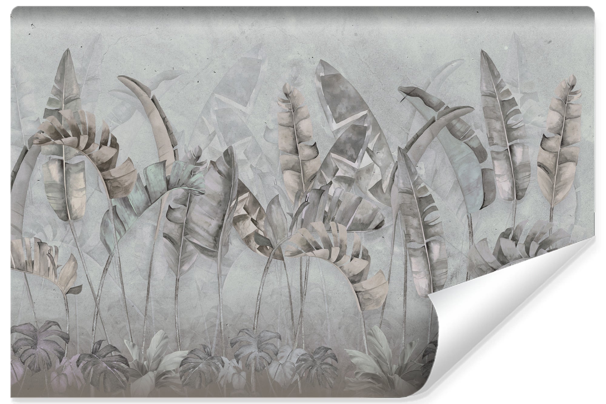 Papel pintado vlieseline foto hojas tropicales concreto para habitación 315cm x 210cm
