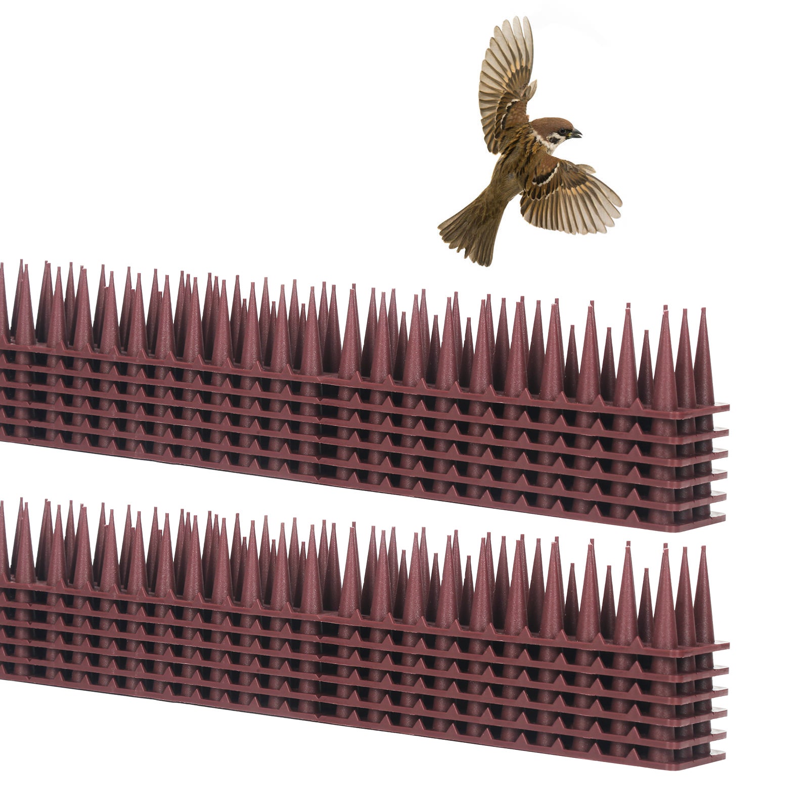 République D'oiseau Solaire - Dissuasion Du Pigeon à Puissance