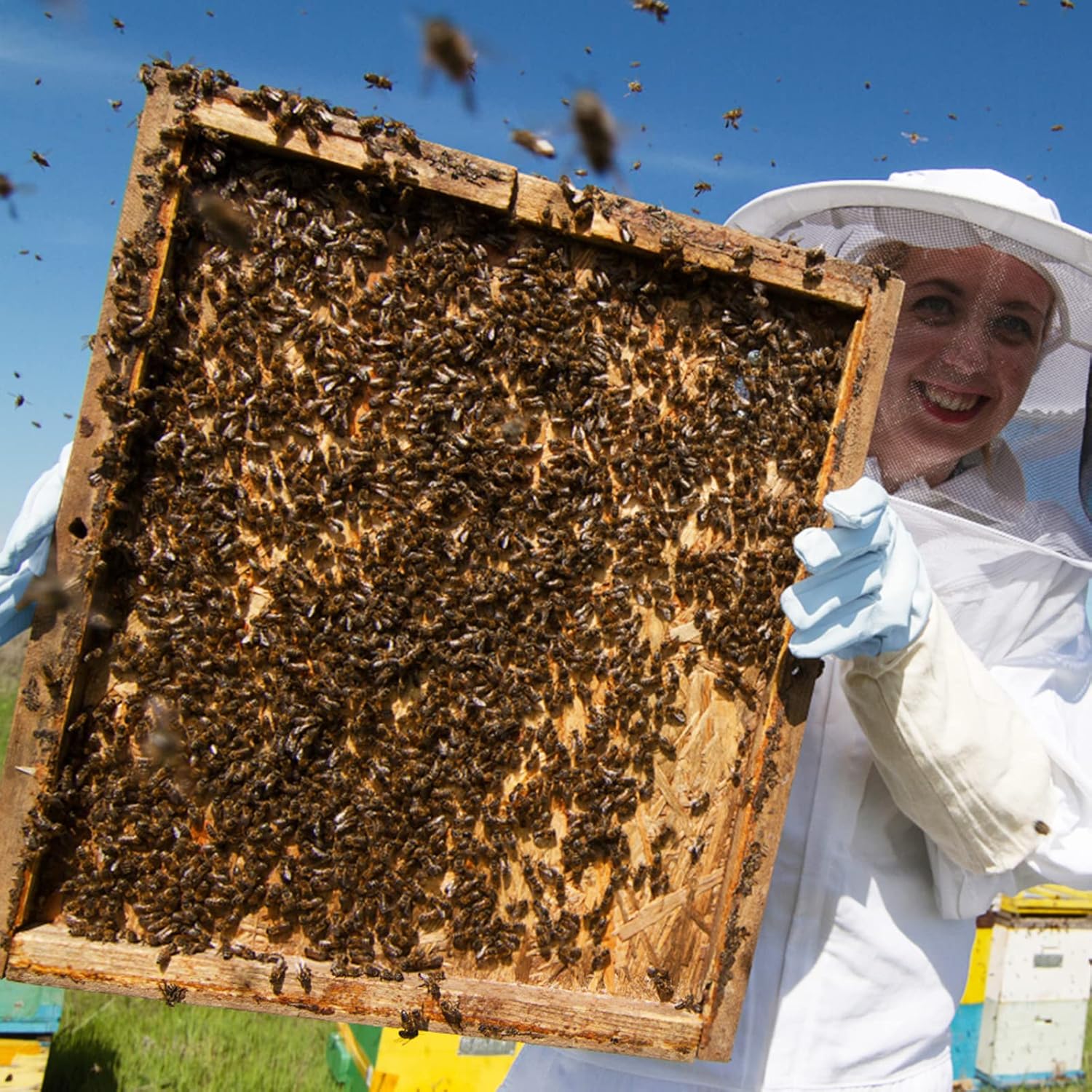 Gants d'apiculture en peau de chèvre - Gants de protection pour apiculteur avec manches ventilées - 4