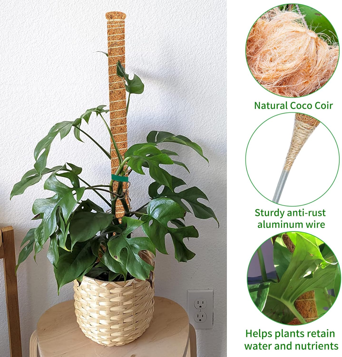 Lot de 2 tuteurs de mousse flexibles de 70 cm, supports pour plantes grimpantes d'intérieur (monstera, pothos, philodendron), pour pots et jardin - 5