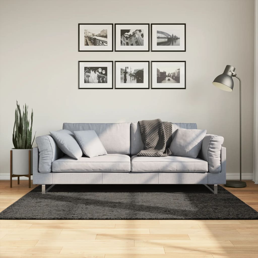 Dywan ISTAN z długim runem, połyskujący, antracytowy 120x170 cm vidaXL