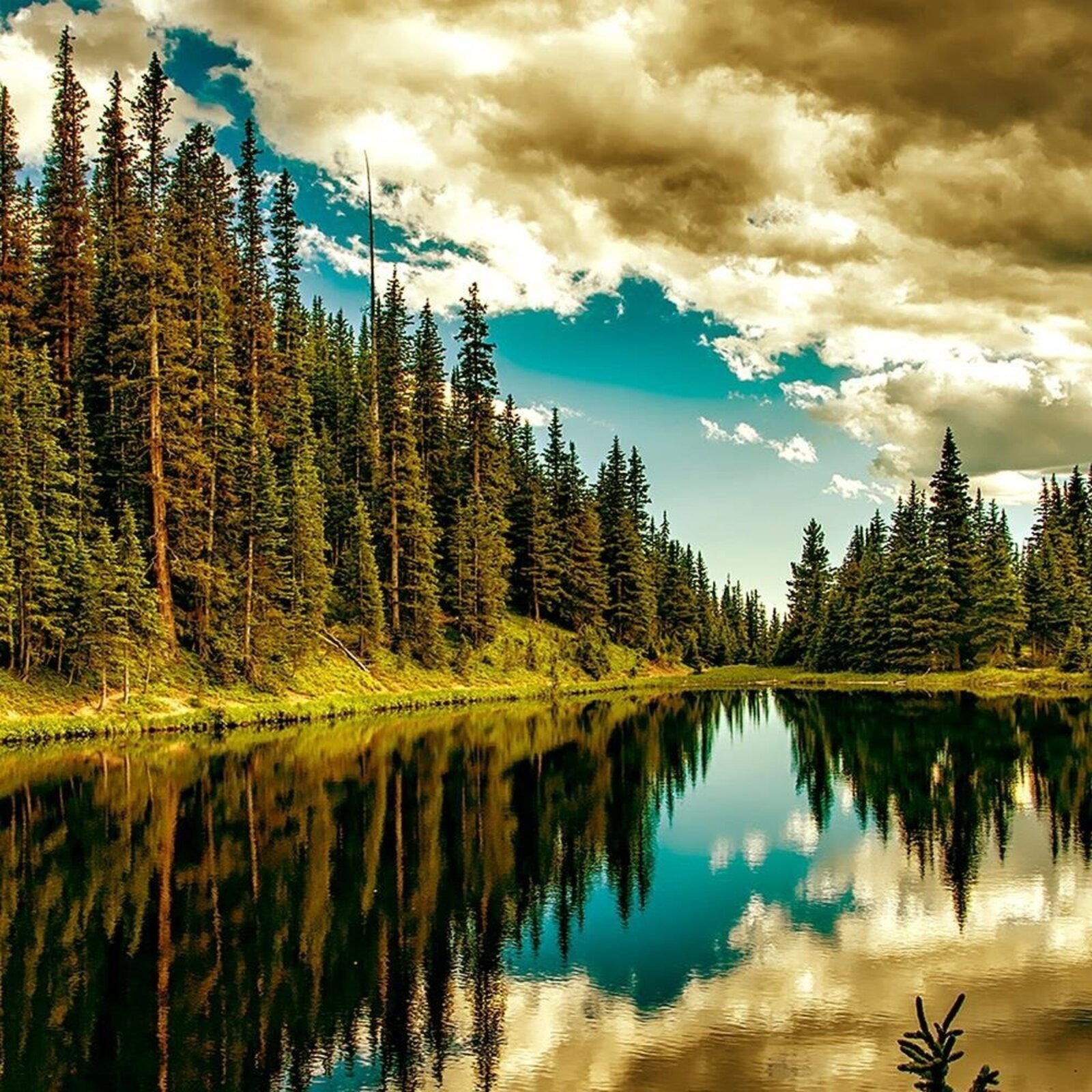 Tableau bois las lac alpin 4 - 60 x 40 cm - 4