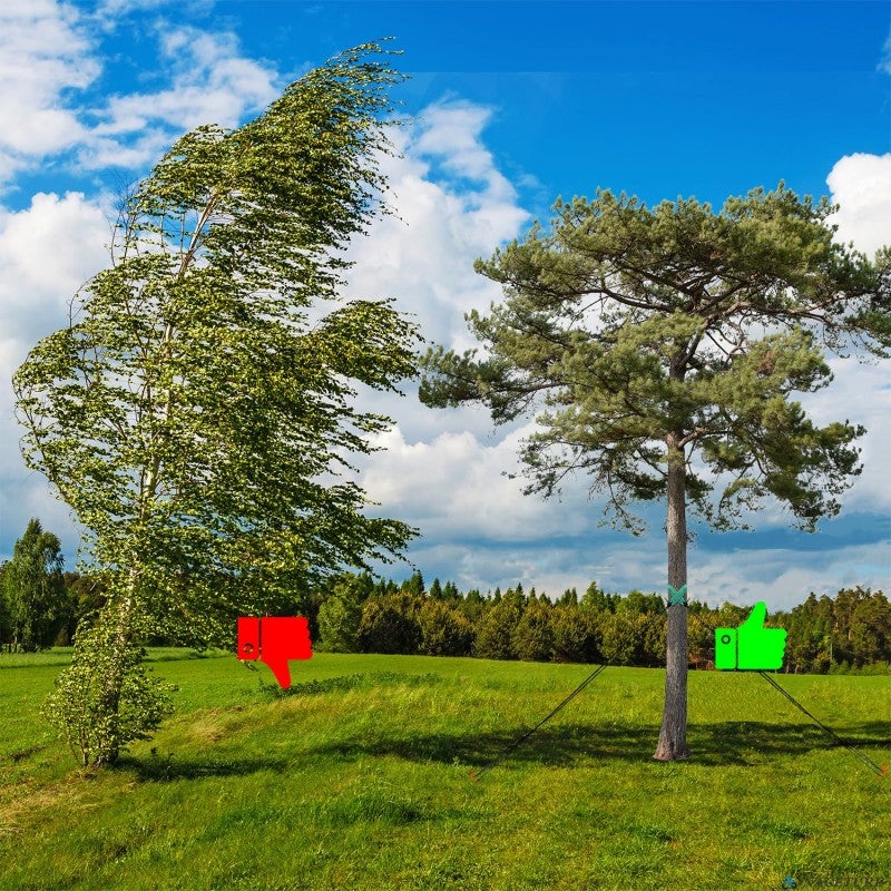 Lot de 10 Tuteur en bois 150 cm Ø 10 cm | Tuteurs avec Pointe | Poteaux en Bois | Piquets de Fixation | Piquets de Jardin - 4