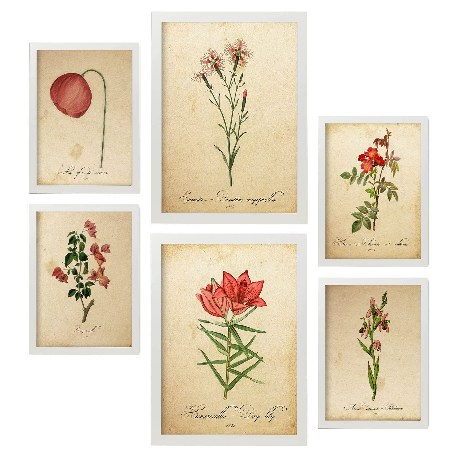 Nacnic posters de flores rojas ilustraciones de naturaleza y botánica estilo papel vintage con temas florales para la a4 & a3 marcos blancos