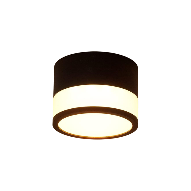 Plafonnier / Spot LED Temgin — 12 W, 3000 K — Luminaire de plafond rond noir, blanc chaud, pour salons (230 V)