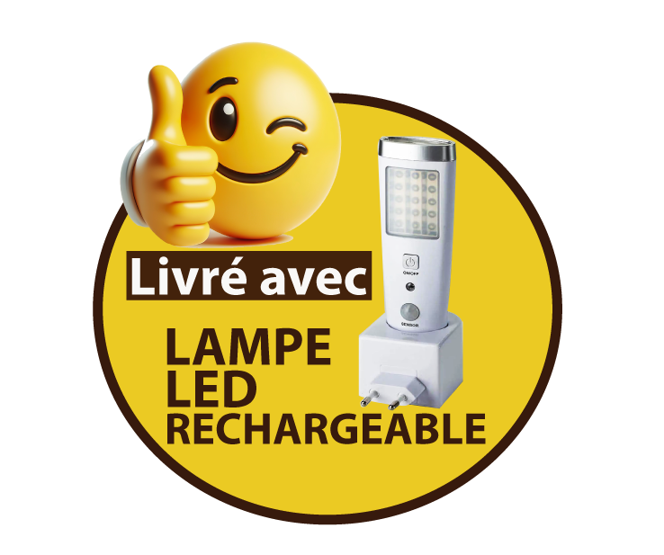 Groupe Electrogène 2900 W 4 temps + lampe LED rechargeable - 2