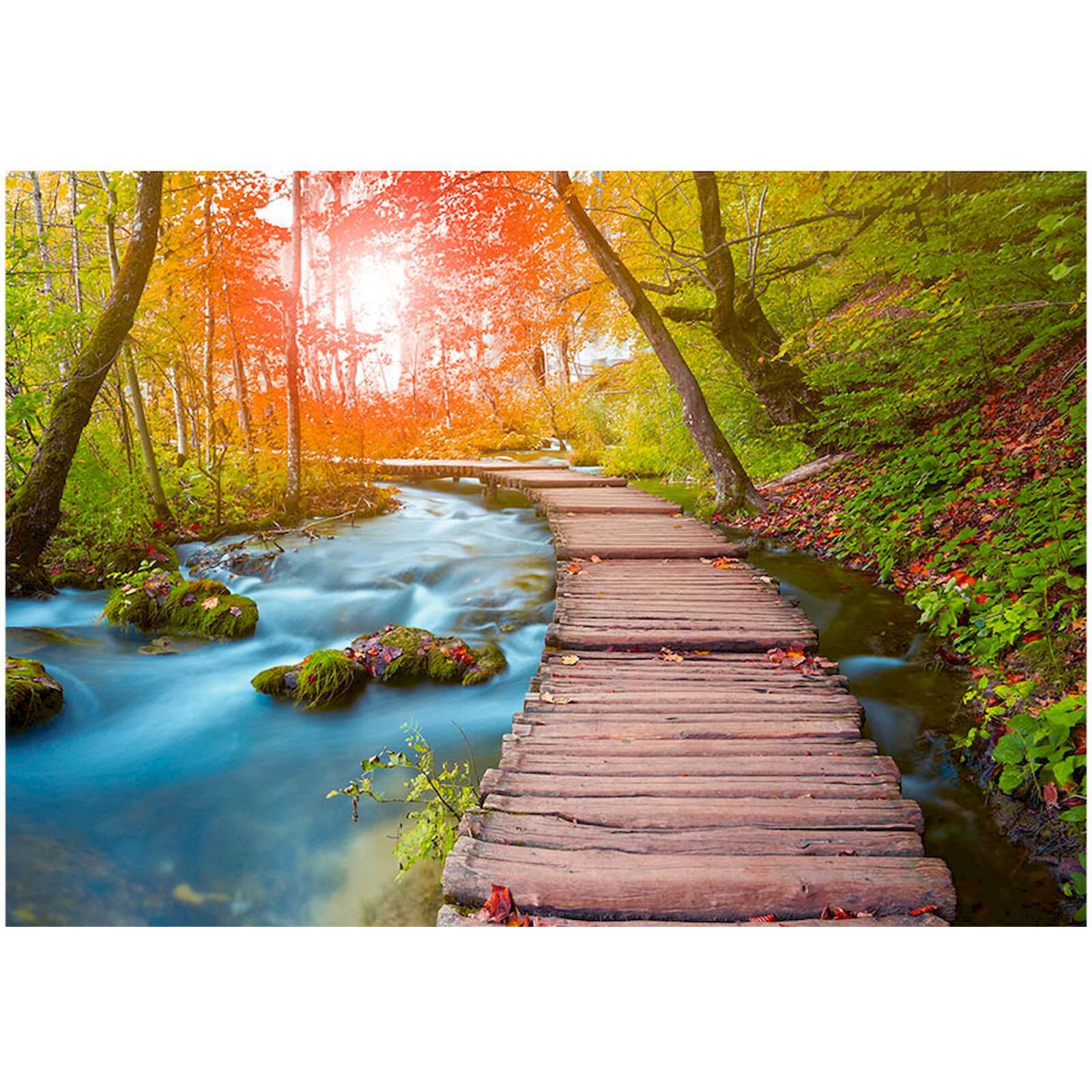 Papier peint adhésif Oasis de paix - 343 x 245 cm - 2