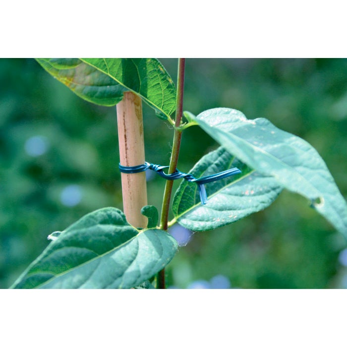 Lien plastique - Nortene - L.25 m - 2
