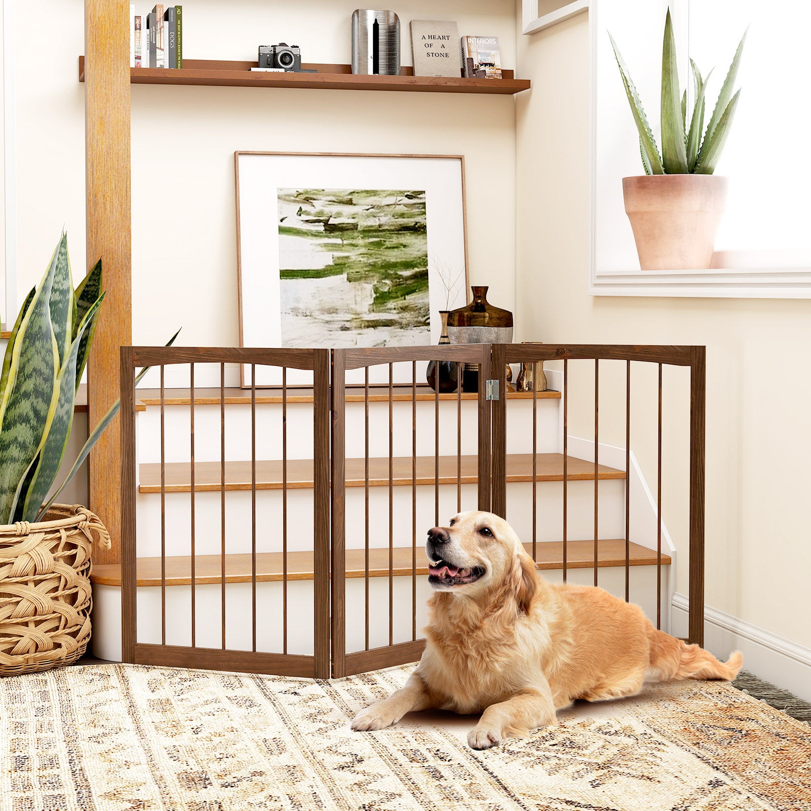 Barreira de segurança para cães, barreira dobrável para cães com 3 painéis, estrutura em madeira de abeto, dobradiças flexíveis, para escadas e salas - 3