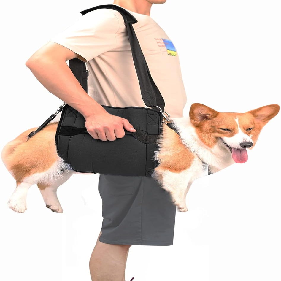 Harnais De Transport Pour Chien Harilla - Taille S, Bandoulière Réglable, Structure Respirante