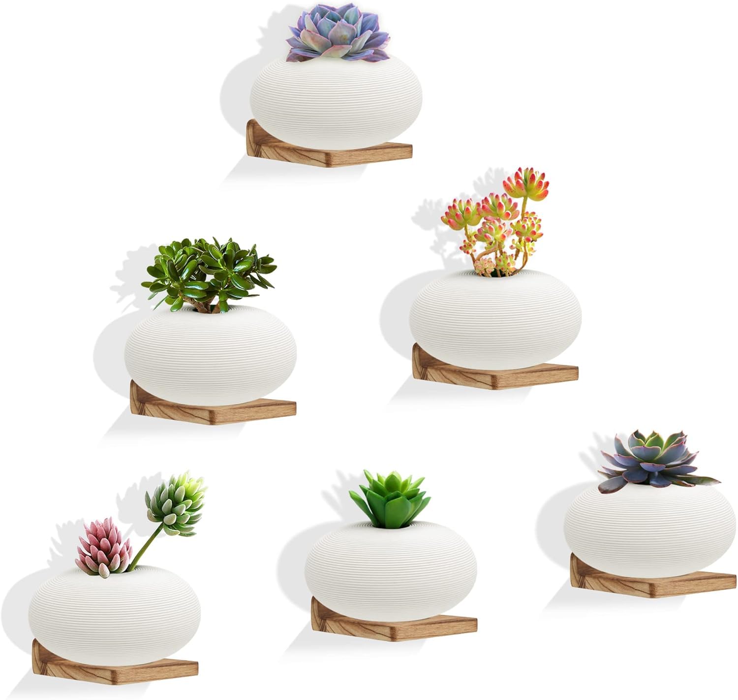 Lot de 6 Mini étagères murales flottantes carrées en Bois de Style Compact pour Petits Objets, étagère Murale à Suspendre pour Salon, 12,7 x10x4 cm - 6