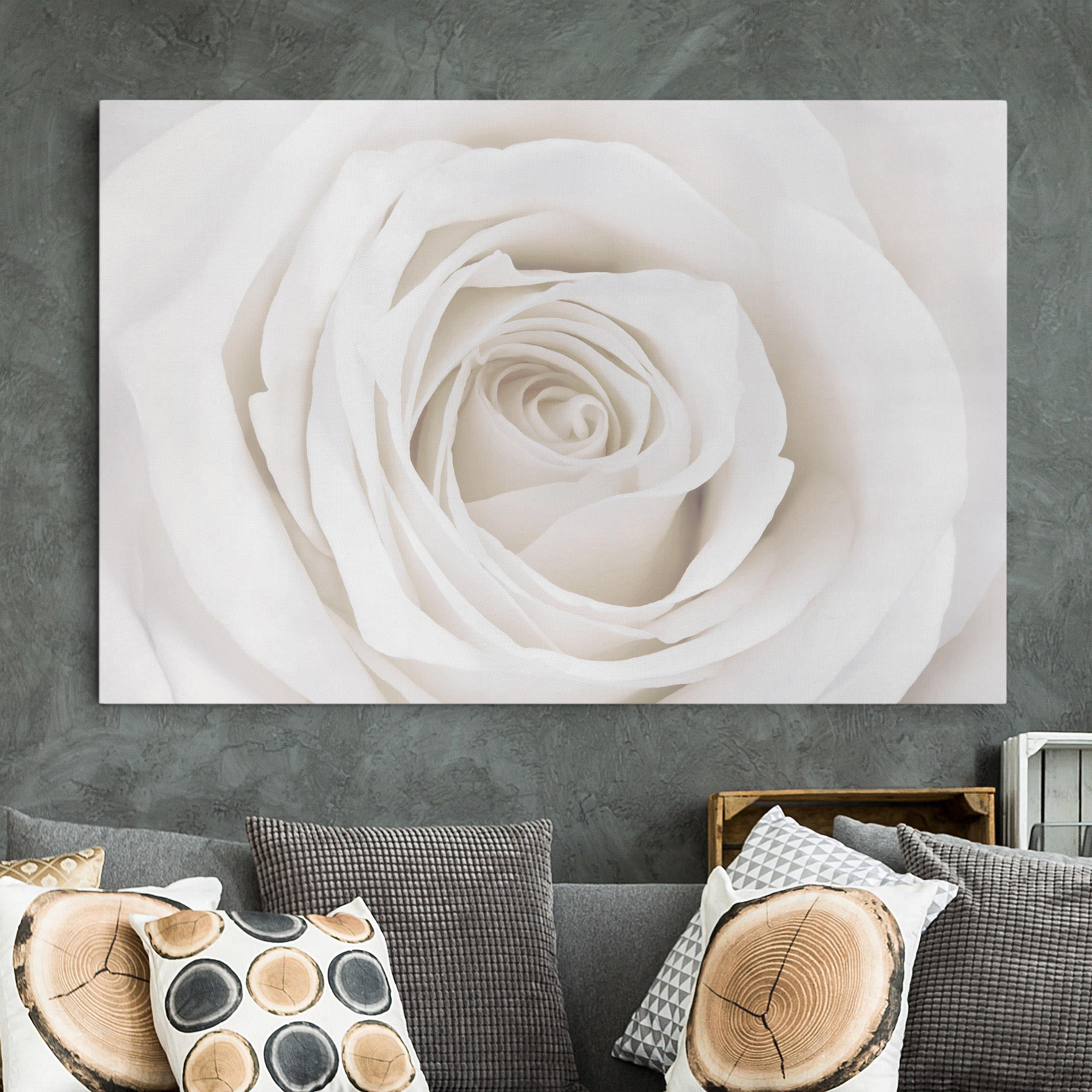 Lienzo cuadro en lienzo bastidor impresion en lienzo blanco flor rosa campestre fotografía 62 cocina dormitorio salón pasillo 60 x 40 cm