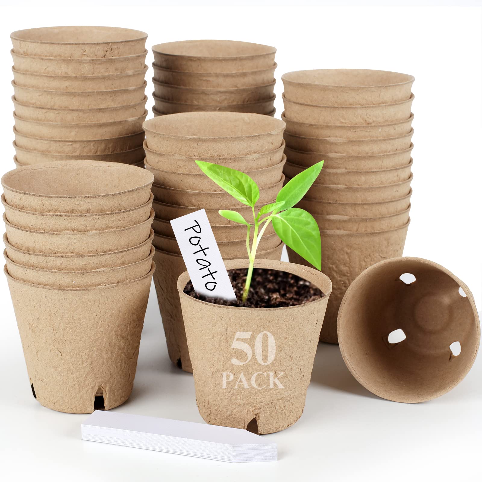 Lot De 200 étiquettes De Jardin En Plastique Blanc - 10 Cm, Imperméables, Réutilisables | Pour Marquer Semis, Plantes, Légumes