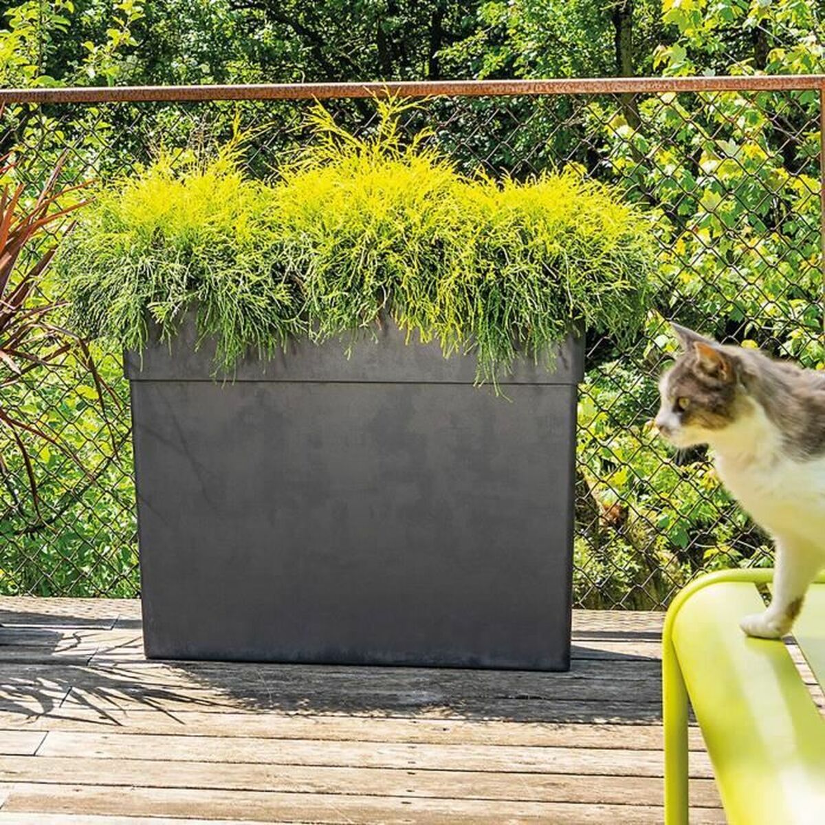 Vaso Deroma Antracite - 2