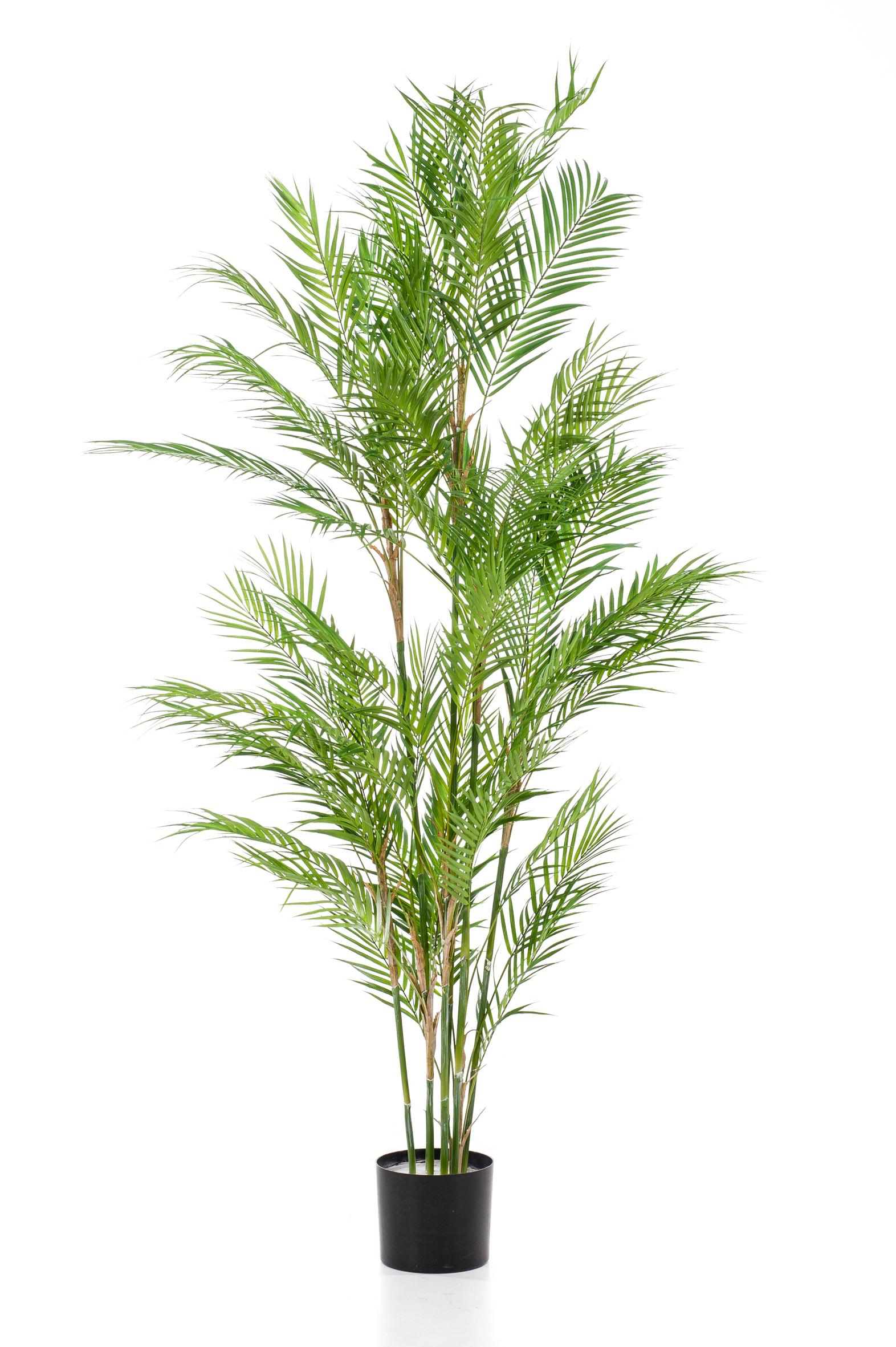 Sztuczna Chamaedorea Elegans 180 cm – Bergpalm dekoracyjny zielony do wnętrz