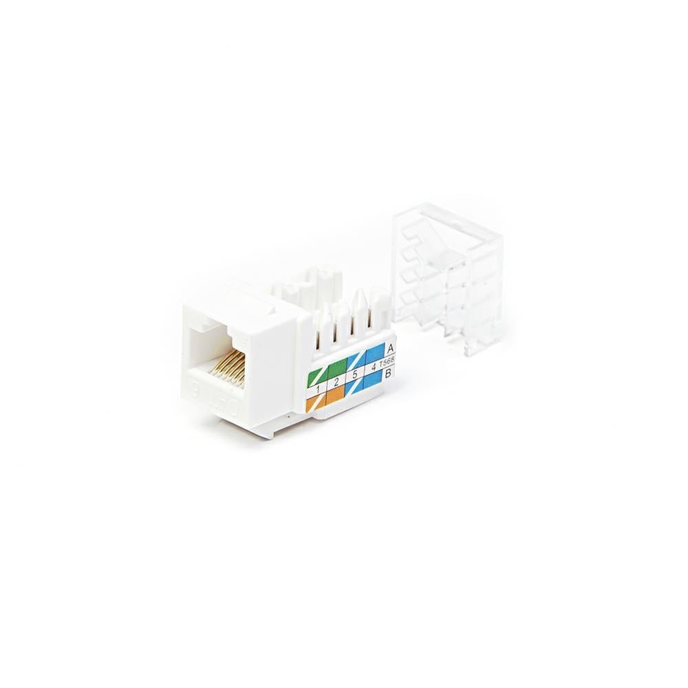 RiteAV - Placca Da Parete Cat6 RCA Bianca (Keystone, Femmina-Femmina)