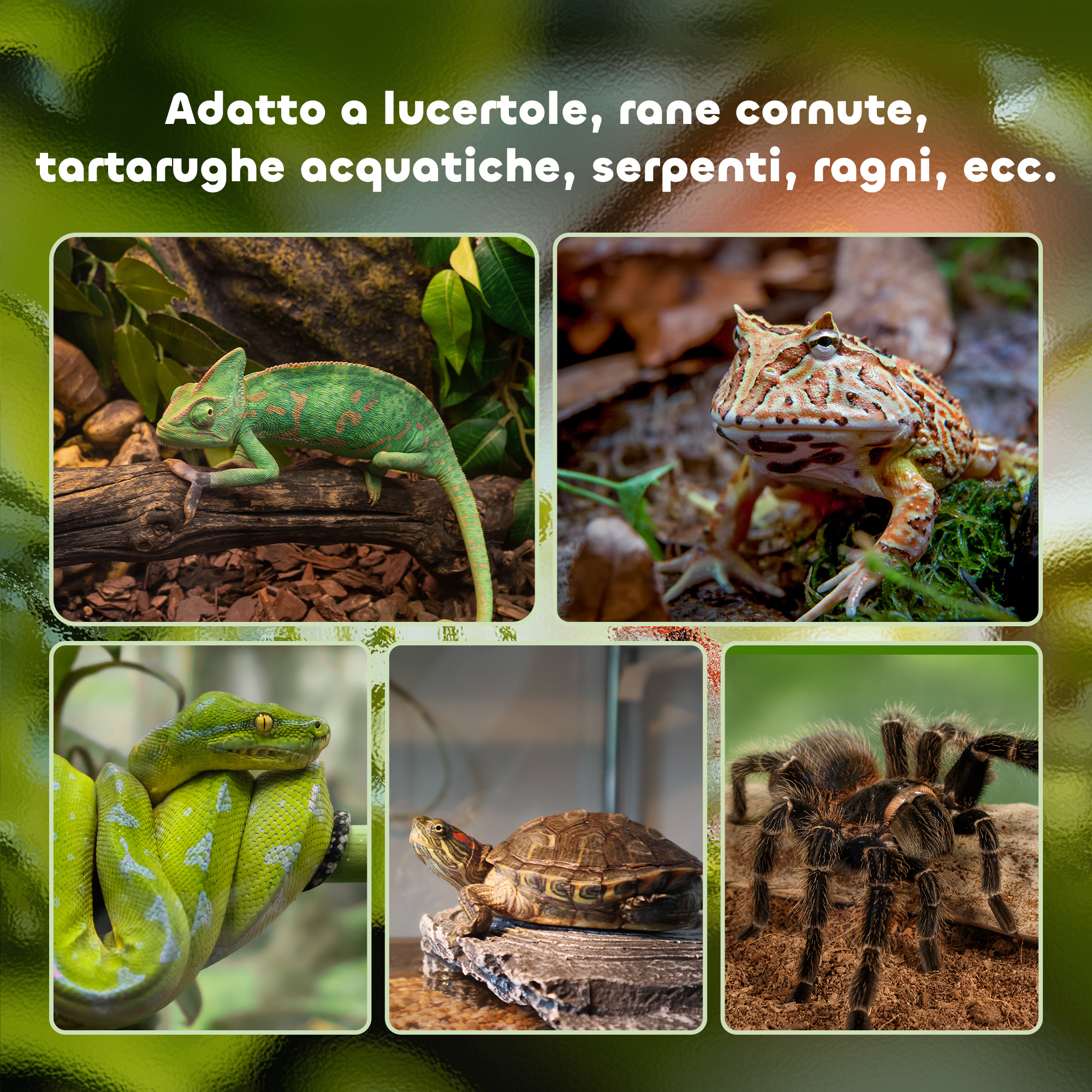 PawHut Terrario per Rettili Rialzato con Serratura e Termometro, in Vetro e Rete Metallica, 50x30x25 cm, Nero - 7