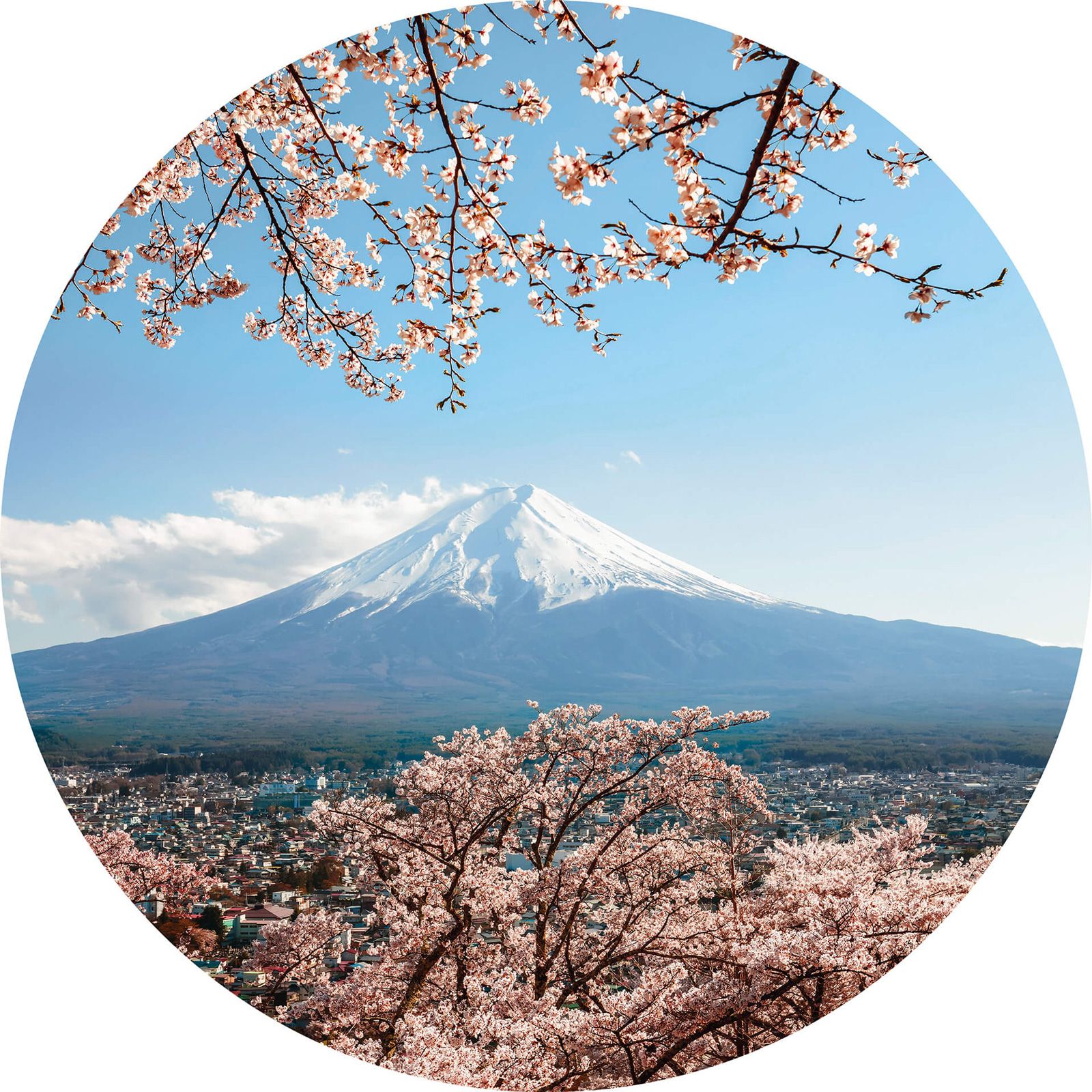 Décoration murale murale d'extérieur Image emblématique du Mont Fuji Décoration murale murale d'extérieur Image emblématique du Mont Fuji