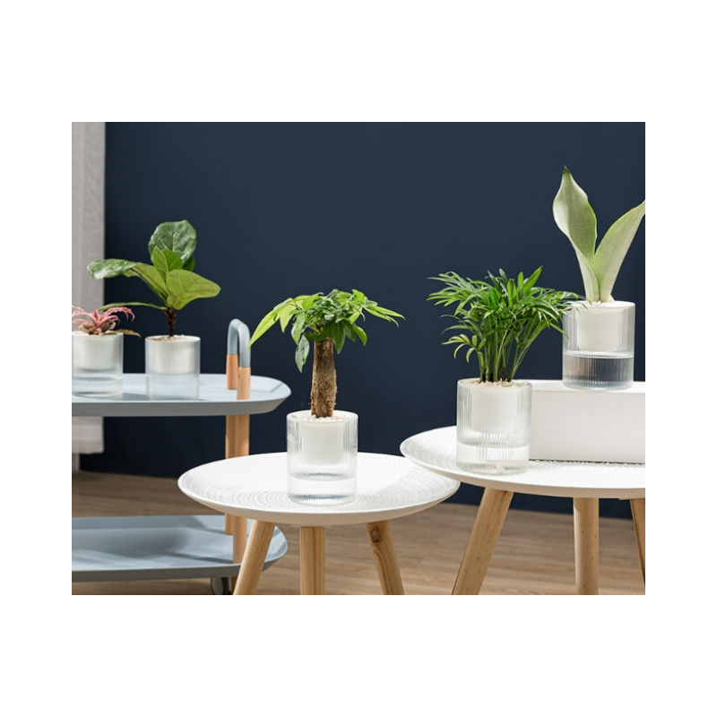 Lot de 3, pots auto-arrosants calibre 15 cm, pots en plastique transparent avec réservoir d’eau pour plantes vertes et fleurs en pot - 3