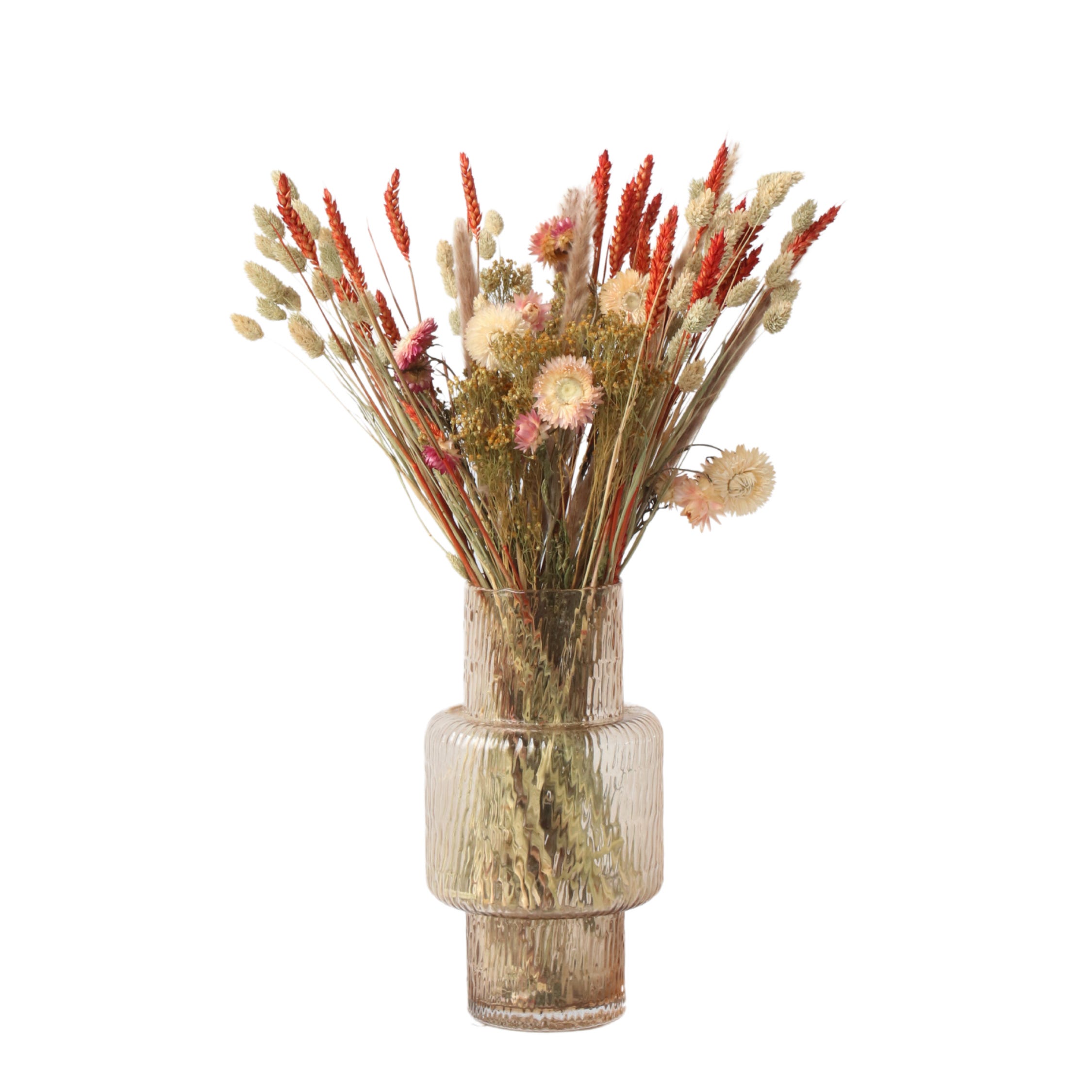 Bellissimi Fiori Secchi - Set Di Semi - Foto 7