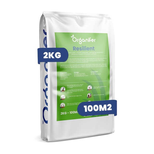 Semences de Réparation pour Gazon - Resilient (2 kg pour 100 m²) - Organifer