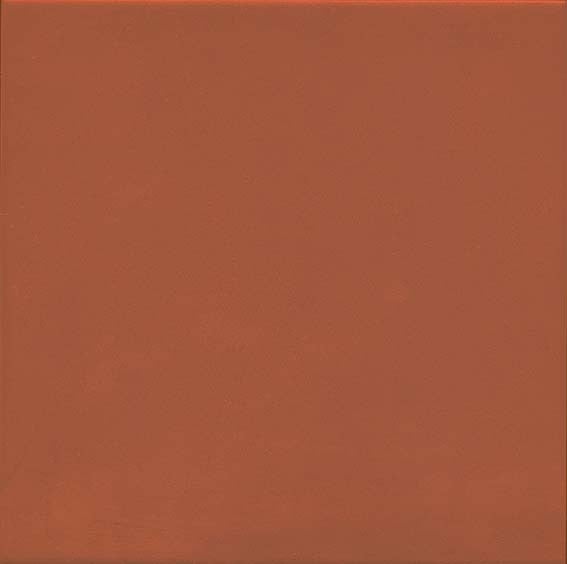 Carrelage sol / mur effet ciment uni rouge terre cuite 20x20 cm 1900 ROJIZO (vendu par boite de 1m2) - 5