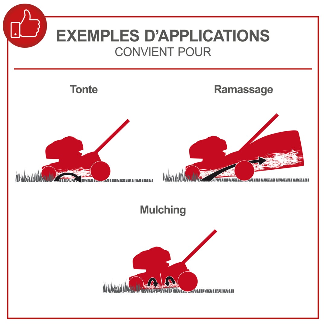 Scheppach Tondeuse thermique MP150-46 - moteur 4 temps - 150 cm³ - largeur de coupe 46 cm - 1000 m² - hauteur de coupe 25-75 mm - bac 55L - 2