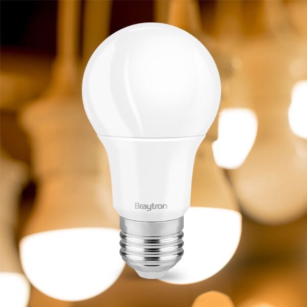 Ampoule LED Advance E27 11W 6500K A60, 1055 lm - lumière blanche froide - 2