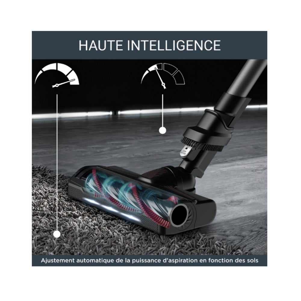 Filtres Lavables Longue Durée Pour Balai électrique X-Force Flex 9.60 - Modèles RH2078WO, RH1127WO, RH1128WO