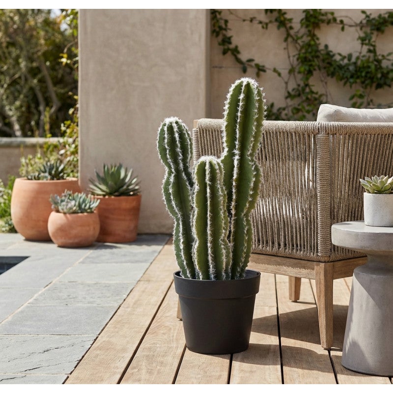 Plante Artificielle Captus Fairy Castles 62cm avec pot | Plantes en plastique pour la décoration de jardin intérieur et extérieu - 4