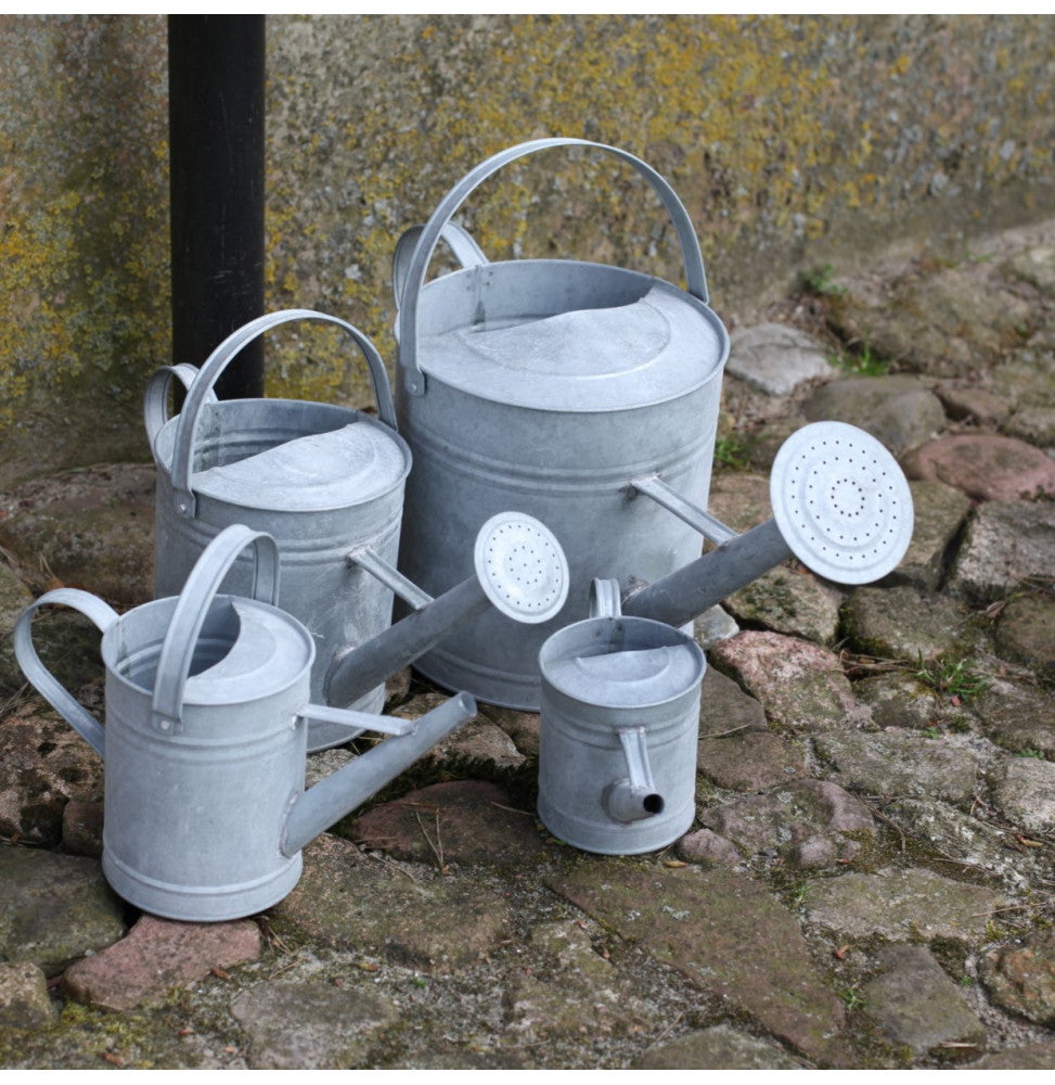 Arrosoir extérieur - L 10,6 x l 22,8 x H 12,4 cm - Zinc - 3