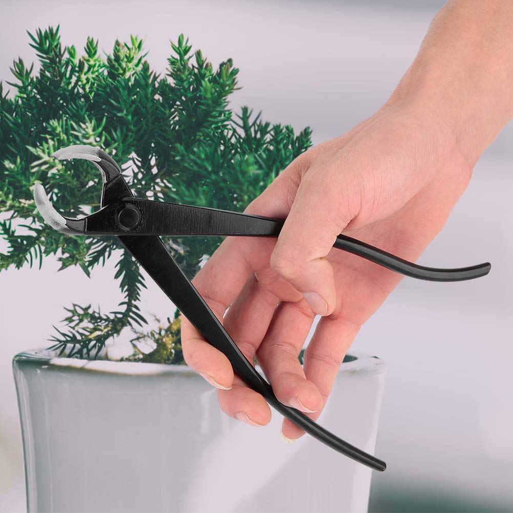 Forbici Da Potatura Telescopiche: Migliori Modelli, Opinioni E Prezzi, Forbici D - Foto 7