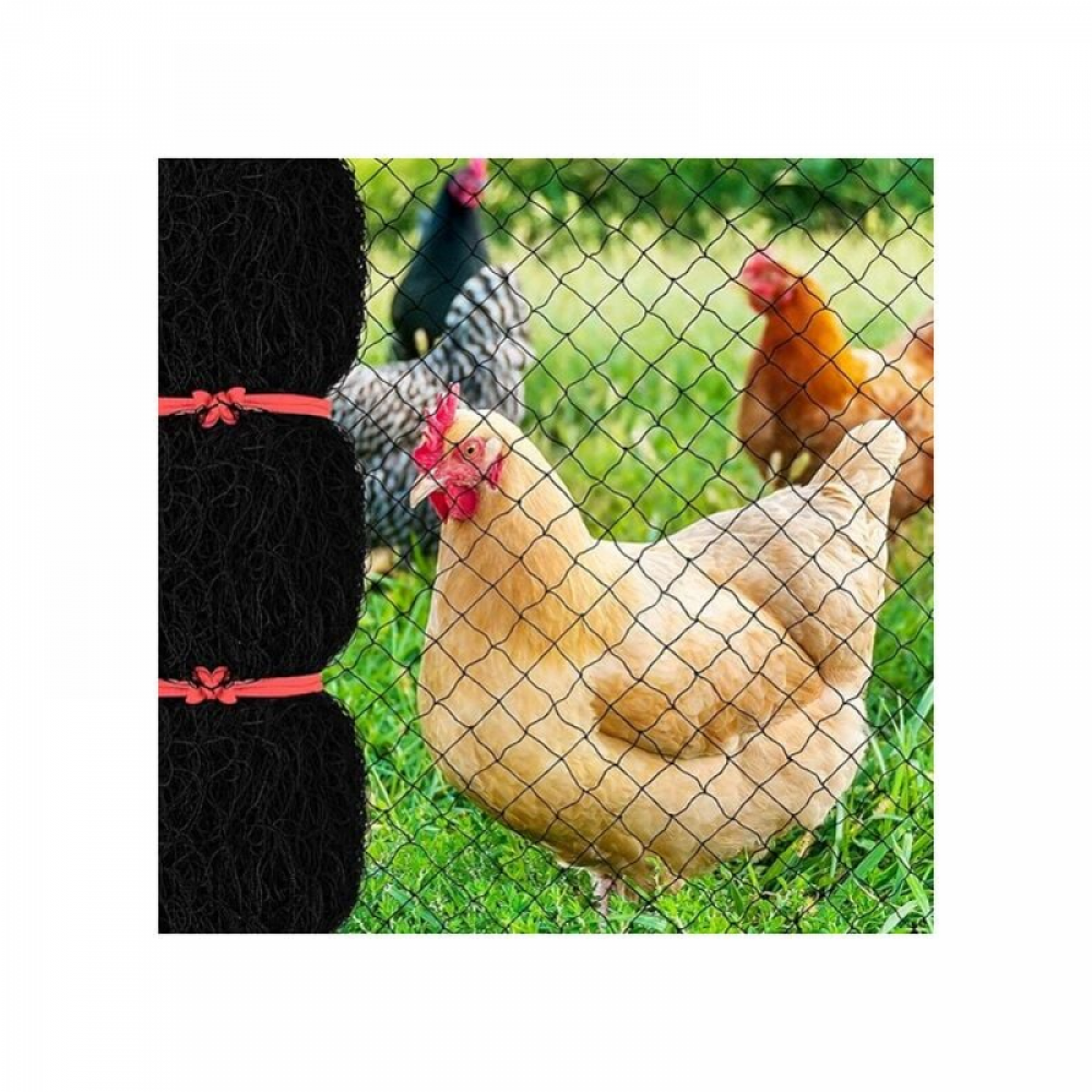 Siatka ochronna na ptaki x m oczka kwadratowe cm wielokrotnego użytku grodzenia przed jeleniami ochrony drzew owocowych przed roślinami strączkowymi