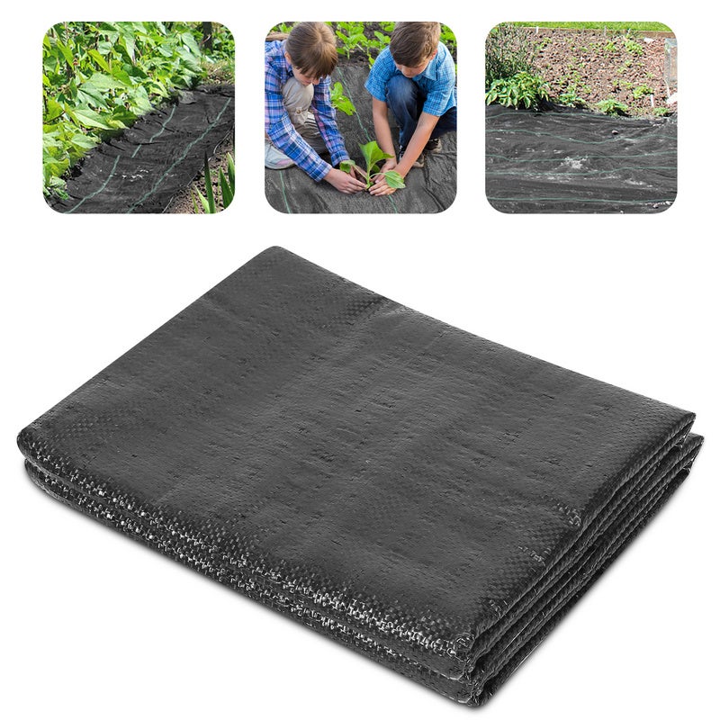 Totò Piccinni Set 4 Sedie Pieghevoli In Legno Di Faggio - Blu, Comode, Salvaspazio, Made In Italy - Foto 5