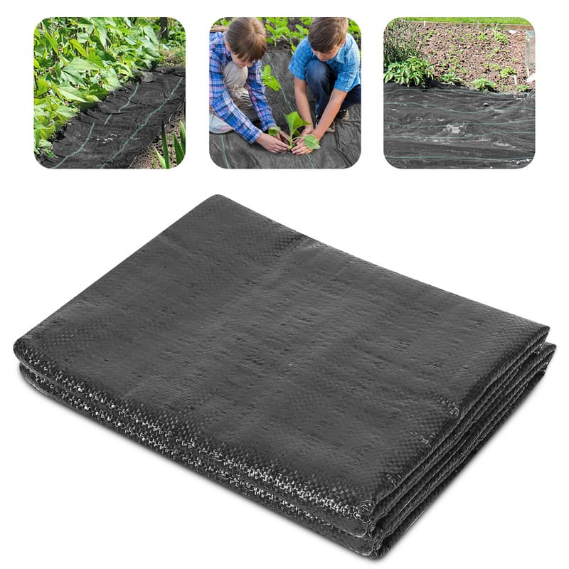 Totò Piccinni Set 4 Sedie Pieghevoli In Legno Di Faggio - Blu, Comode, Salvaspazio, Made In Italy - Foto 5