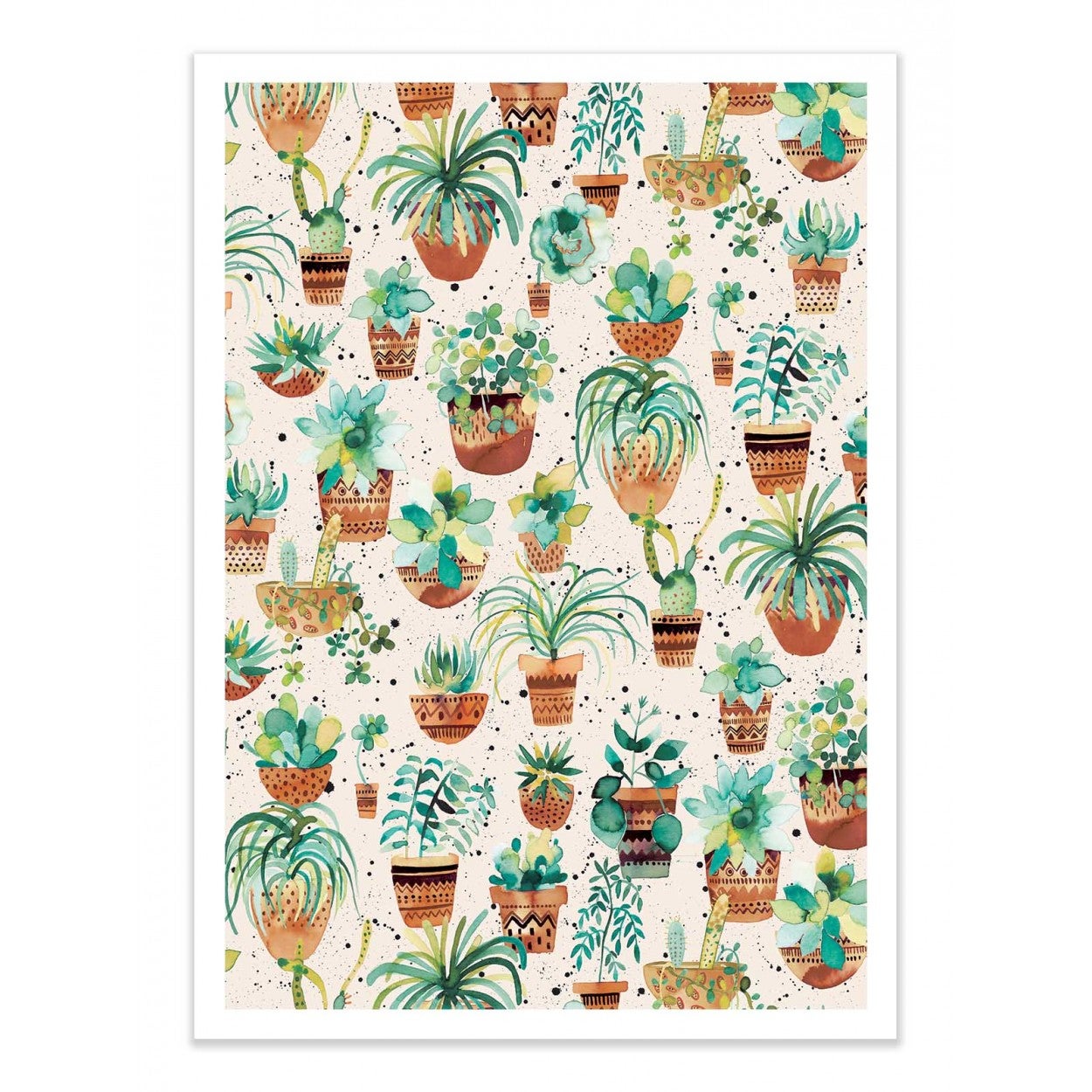 Art-poster - home succulent plant pots white - ninola - 50 x 70 cm