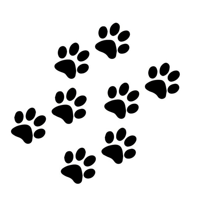 Sticker Patte Chat Stickers chat au meilleur prix | Leroy Merlin