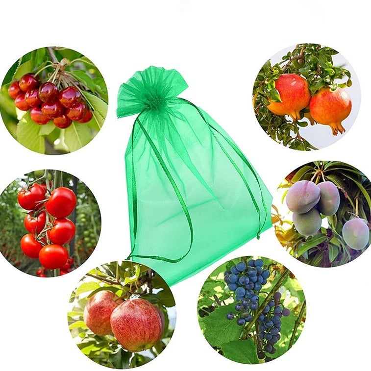 Worki ochronne na kiście zielonych winogron (30 x 20 cm, 100 szt.) ze ściągaczem, zapewniające pełną ochronę przed osami i ptakami.