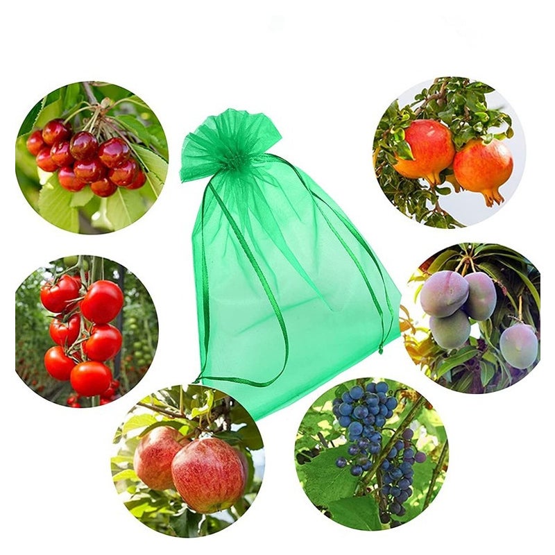 Worki ochronne na kiście zielonych winogron (30 x 20 cm, 100 szt.) ze ściągaczem, zapewniające pełną ochronę przed osami i ptakami.