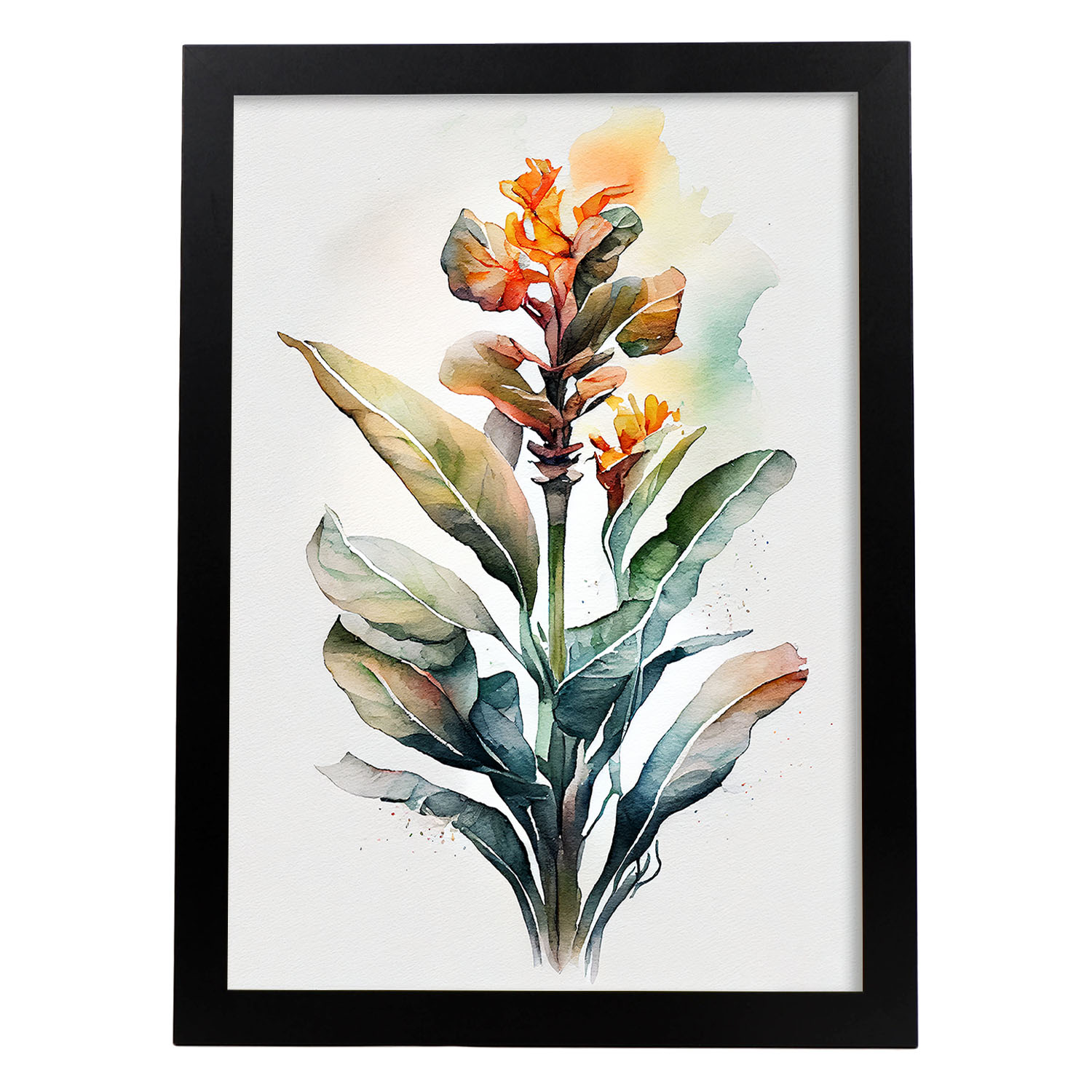 Poster de canna nórdico ilustraciones de botánica con flores y plantas en acuarela diseño moderno y decoración de interiores modelo 1 a4 sin marco