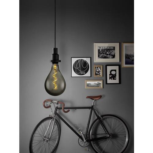 Osram 4058075269903 Led Cee 2021 G (a - G) E27 Forme Standard 5 W Blanc Chaud (ø X L) 160,0 Mm X 290,0 Mm 1 Pc(s)