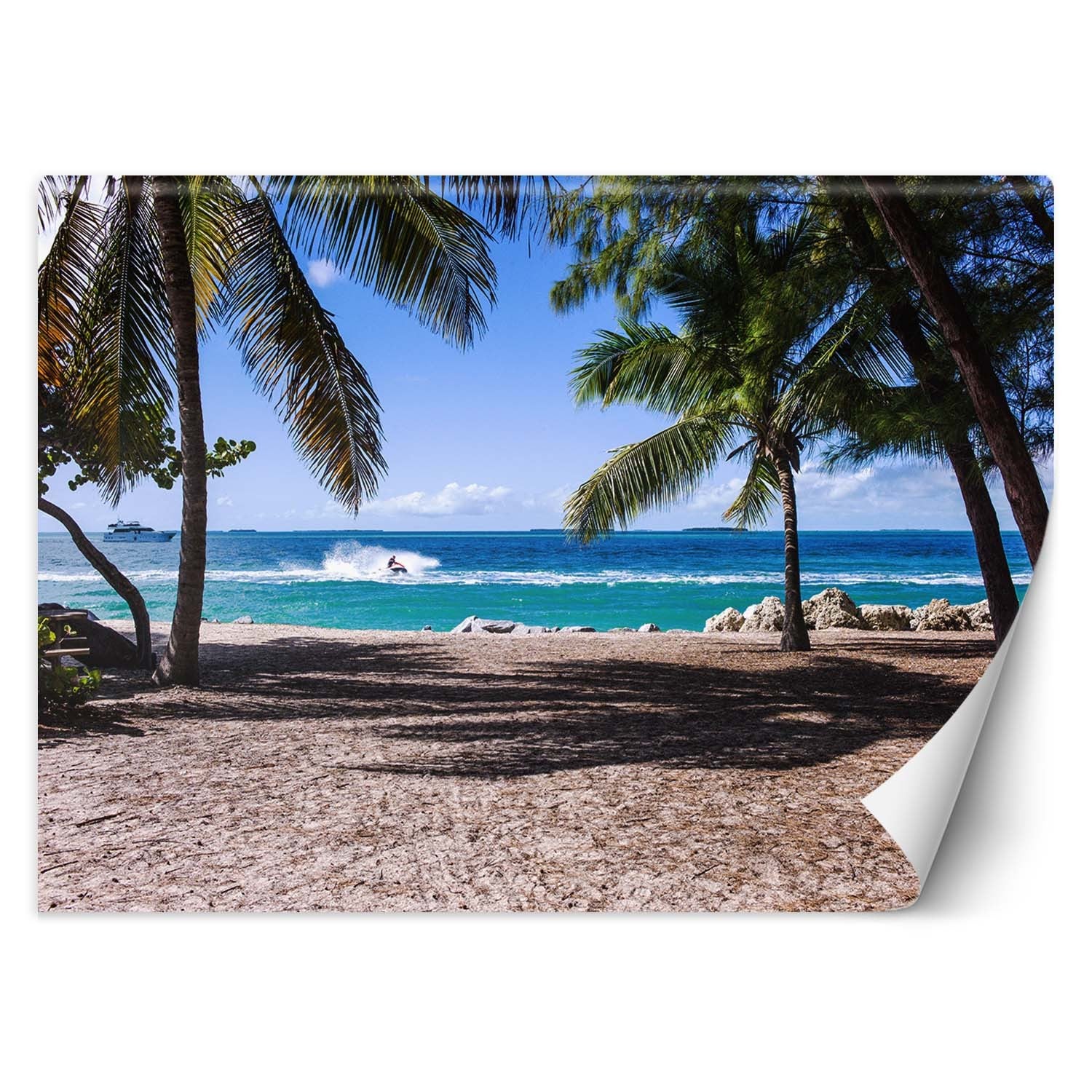 Fototapeta, Piaszczysta plaża pomiędzy palmami 350x245