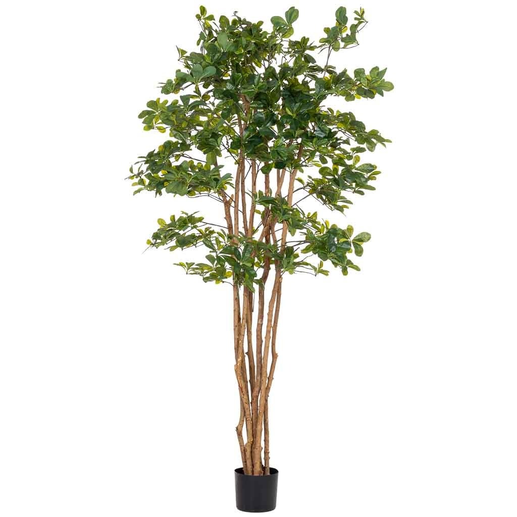 Feuille de banian artificielle décorative en pot de 40x30x180 cm - 2